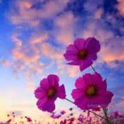 竹中さとね おはようございます☀️ 大阪ぽっちゃり妻 谷九店