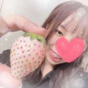 ヒメ日記 2025/02/13 18:18 投稿 まいな 横浜人妻ヒットパレード（シンデレラグループ）