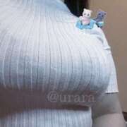 ヒメ日記 2025/04/04 16:00 投稿 うらら☆ 豊橋豊川ちゃんこ