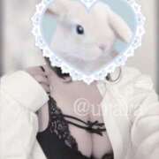 ヒメ日記 2025/04/11 21:02 投稿 うらら☆ 豊橋豊川ちゃんこ