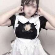 ヒメ日記 2025/05/26 23:32 投稿 うらら☆ 豊橋豊川ちゃんこ