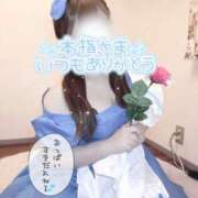 ヒメ日記 2025/08/15 22:52 投稿 うらら☆ 豊橋豊川ちゃんこ