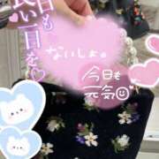 ヒメ日記 2025/04/04 13:03 投稿 夢野 は る La elf（ラ・エルフ）