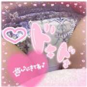 ヒメ日記 2025/05/23 13:33 投稿 夢野 は る La elf（ラ・エルフ）