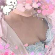 ヒメ日記 2025/06/08 12:13 投稿 夢野 は る La elf（ラ・エルフ）