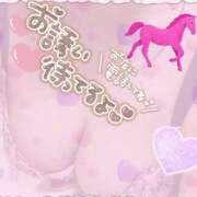 ヒメ日記 2026/01/04 10:30 投稿 夢野 は る La elf（ラ・エルフ）