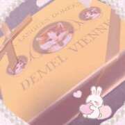 ヒメ日記 2026/02/13 11:33 投稿 夢野 は る La elf（ラ・エルフ）