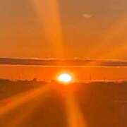 ヒメ日記 2025/01/01 19:02 投稿 かりん 無我（むが）