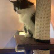 ヒメ日記 2025/01/06 20:04 投稿 かりん 無我（むが）