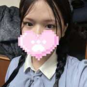 ヒメ日記 2025/01/23 10:31 投稿 かりん 無我（むが）