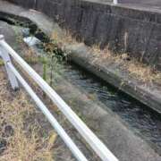 ヒメ日記 2025/02/14 22:05 投稿 ちあき 舐めフェチの会