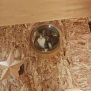 ヒメ日記 2025/04/06 15:03 投稿 ちあき 舐めフェチの会