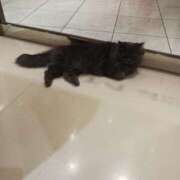 ヒメ日記 2025/04/12 21:15 投稿 ちあき 舐めフェチの会