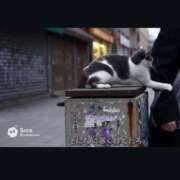 ヒメ日記 2026/02/08 07:48 投稿 ちあき 舐めフェチの会