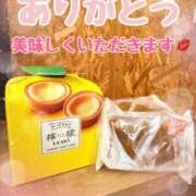 ヒメ日記 2025/04/03 02:49 投稿 ののか 成田人妻花壇