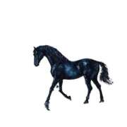 ヒメ日記 2025/12/19 22:32 投稿 新田 香澄 大阪貴楼館