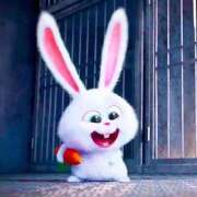 ヒメ日記 2025/01/18 02:55 投稿 りつ【清楚で美乳の彼女】 STELLA TOKYO－ステラトウキョウ－