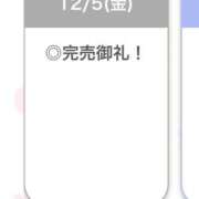 ヒメ日記 2025/12/06 00:32 投稿 りつ【清楚で美乳の彼女】 STELLA TOKYO－ステラトウキョウ－