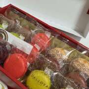 ヒメ日記 2025/10/11 14:46 投稿 かすみ 花影（かえい）