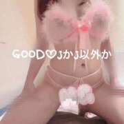 ヒメ日記 2024/12/14 08:00 投稿 J(ジェイ)かJ(ジェイ)以外か GOOD-グッド-