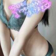 ヒメ日記 2025/02/13 11:00 投稿 みつは 横浜ハートショコラ（シンデレラグループ）