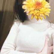 ヒメ日記 2025/04/04 09:33 投稿 吉永 倶楽部月兎【逆夜這い】セントレア三河店