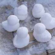 ヒメ日記 2025/02/22 17:46 投稿 こと G-1八戸