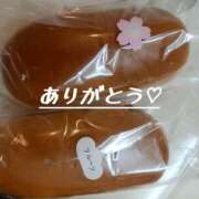 ヒメ日記 2025/03/14 07:09 投稿 こと G-1八戸