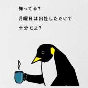ヒメ日記 2025/04/28 07:40 投稿 こと G-1八戸