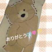 ヒメ日記 2026/01/21 08:30 投稿 こと G-1八戸