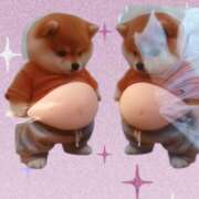 ヒメ日記 2026/02/03 12:11 投稿 こと G-1八戸