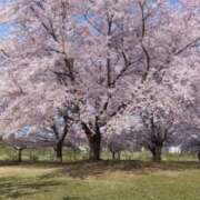 ヒメ日記 2026/04/24 12:31 投稿 こと G-1八戸