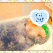 ヒメ日記 2025/03/21 15:32 投稿 らい G-1八戸