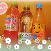 ヒメ日記 2025/04/18 14:07 投稿 らい G-1八戸