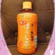 ヒメ日記 2025/10/29 13:57 投稿 らい G-1八戸