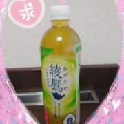 ヒメ日記 2026/01/26 17:05 投稿 らい G-1八戸