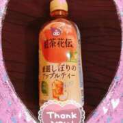 ヒメ日記 2026/03/10 14:26 投稿 らい G-1八戸