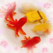 ヒメ日記 2026/03/30 18:44 投稿 らい G-1八戸