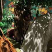 ヒメ日記 2025/01/04 08:30 投稿 ひかり G-1八戸