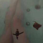 ヒメ日記 2025/02/13 22:10 投稿 ひかり G-1八戸