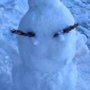 ヒメ日記 2025/02/25 07:30 投稿 ひかり G-1八戸