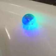 ヒメ日記 2025/03/28 22:40 投稿 ひかり G-1八戸