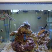 ヒメ日記 2025/04/06 08:10 投稿 ひかり G-1八戸