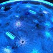 ヒメ日記 2025/04/19 07:40 投稿 ひかり G-1八戸