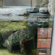 ヒメ日記 2025/05/15 07:20 投稿 ひかり G-1八戸