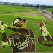 ヒメ日記 2025/07/11 07:10 投稿 ひかり G-1八戸