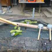 ヒメ日記 2025/07/14 07:50 投稿 ひかり G-1八戸