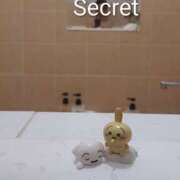 ヒメ日記 2025/09/05 22:21 投稿 ひかり G-1八戸