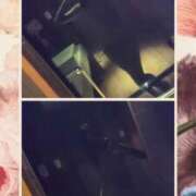 ヒメ日記 2025/12/14 07:55 投稿 ひかり G-1八戸