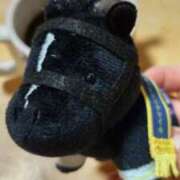 ヒメ日記 2026/01/09 06:26 投稿 ひかり G-1八戸